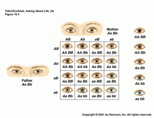 natural eye color chart with names
