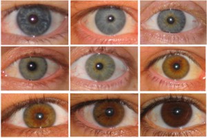 shades of green eye color chart