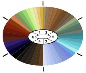 Genetics of Eye Color